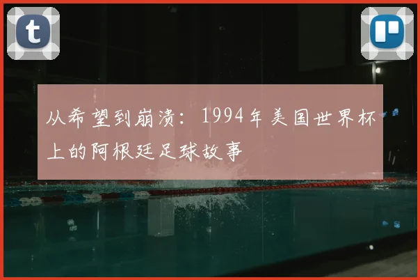 从希望到崩溃：1994年美国世界杯上的阿根廷足球故事