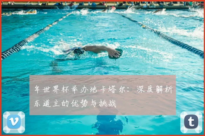 年世界杯举办地卡塔尔：深度解析东道主的优势与挑战