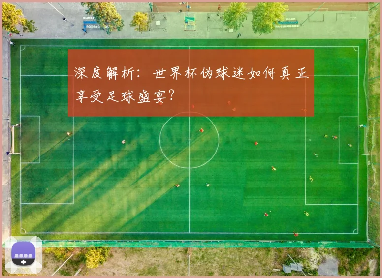 深度解析:世界杯伪球迷如何真正享受足球盛宴?