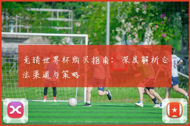 竞猜世界杯购买指南：深度解析合法渠道与策略