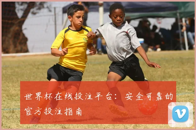 世界杯在线投注平台:安全可靠的官方投注指南