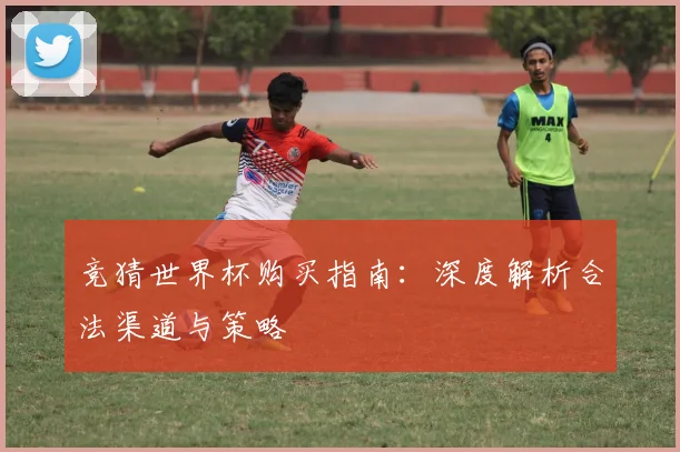 竞猜世界杯购买指南:深度解析合法渠道与策略