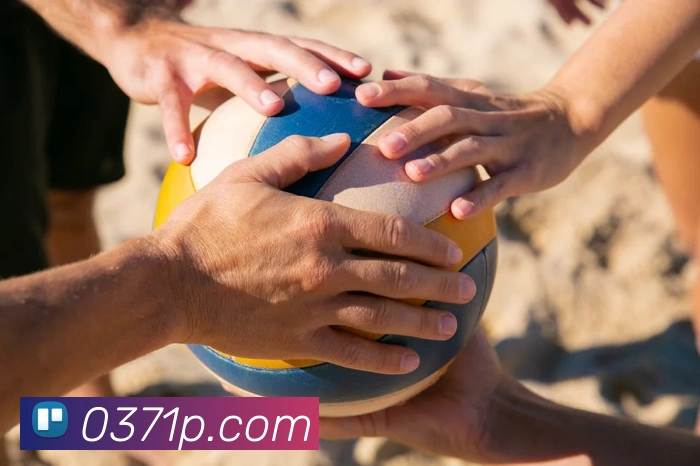 leyu乐鱼app登录入口APP 封面图