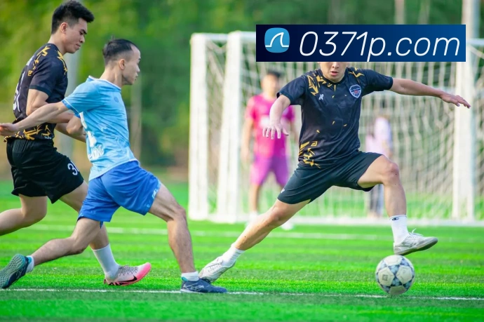 数据防护可视化